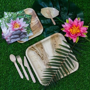 Areca Palm Leaf Square 8 Inches Party Plates for Sweets Chocolates & Evening Snacks Pack of 25 Plates for Festivals & Family Use - Product Image 1