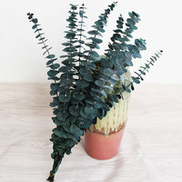 Gedroogde Eucalyptusbladeren, echte geconserveerde Eucalyptusbladeren, bruiloft, Moederdag, nieuwjaarsdecoratie, jarenlange decoratie.