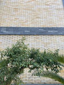 Dalles de marbre blanc laiteux en calcite, traitées en usine, modernes, polies et finies, 24x24, imperméables, durables, écologiques, garanties à vie - Product Image 5