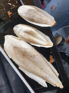 Polvo de hueso de sepia de alta calidad de exportación/hueso de sepia seco/hueso de sepia triturado de Vietnam Ms Lily - Product Image 6