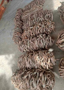 Lianes séchées longue durée |   Plantes grimpantes de forêt naturelles séchées au soleil |   Décor en bois torsadé robuste |   Exportateur en gros fiable - Product Image 4