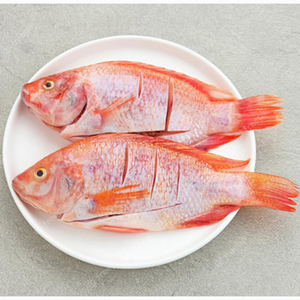 Export live frozen red tilapia <b>fish</b> for sale Fresh Frozen Red Tilapia <b>Fish</b> Red Snapper Tilapia <b>Fish</b> for Tilapia <b>Fish</b> Red Buyers - Product Image 2