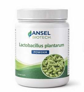 Polvo de Lactobacillus Plantanum Origen India - Product Image 1