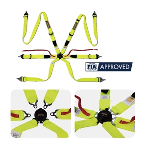 สายรัดนิรภัยสำหรับรถแข่ง Track Ready FIA 8853 2016 TBRACING แบรนด์ส่วนตัว ขายส่ง ตัวปรับเหล็กขนาด 2 นิ้ว และสายรัดแบบปลดเร็ว - Product Image 2