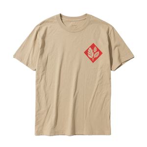 Camiseta de Hombre de Alta Calidad, Personalizada con Impresión DTG, Gráficos, 230 g/m², 100% Algodón, Informal, Holgada, para Exteriores - Product Image 2