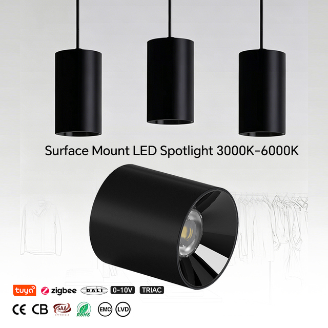 High Power 30W Surface Mounted LED Downlight IP20 Anti Glare Design for Large Hotel Hall & Supermarket Ceiling Downlight