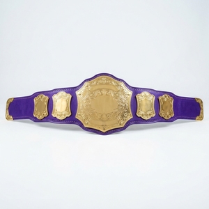 Ceinture de récompense sportive personnalisée pour championnat de lutte et de boxe, trophée de compétition, plaques métalliques, sangle en cuir, design personnalisé - Product Image 2