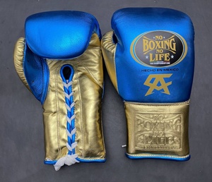 Guantes de Boxeo Profesionales de Alta Calidad a Precio de Mayoreo RTS, No Boxing No Life, Cuero Genuino, Antideslizantes, para Sparring, AS-BG-5050 - Product Image 1