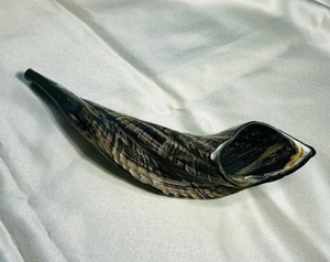 Shofar artisanal personnalisé en corne de bélier, instrument sonore religieux et cérémoniel, finition naturelle, décoratif, objet de collection élégant - Product Image 2