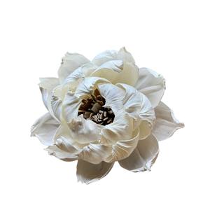 ดอกไม้ประดิษฐ์จากไม้โซล่ารูปดอกโบตั๋นธรรมชาติ ขนาดใหญ่ 15 ซม. ทำจากเส้นใยพืชเซสบาเนีย - Product Image 6