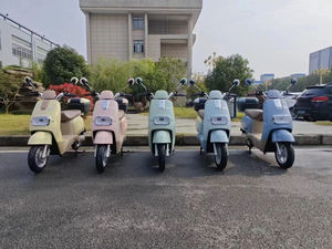 Scooter électrique pas cher pour adultes, 800 watts, moto électrique pour étudiants, cyclomoteur électrique, OEM, ODM, industriel, DIY - Product Image 5