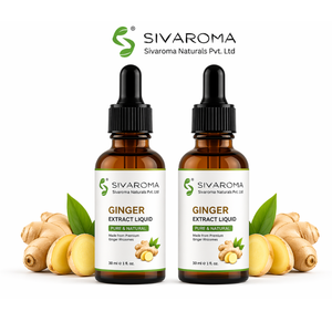 Pure Ginger Liquid Concentrate for Bulk Buyers, Perfect for Flavor Enhancement, Food Industry Applications & Beverage Production - Product Image 6