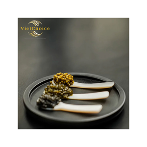 Ensemble de couverts VietChoice en nacre naturelle, cuillères à long manche, design vintage fait main, écologique - Product Image 2
