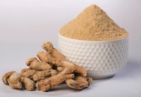 Poudre de gingembre séché de qualité supérieure, naturelle, moulue finement, épice en vrac Ocean Link Exim pour la cuisine, la transformation alimentaire, la vente en gros