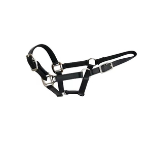 Corde de trelage en coton tressé avec clip robuste, design confortable pour l'entraînement, le toilettage et l'utilisation en extérieur ou en écurie des chevaux - Product Image 1