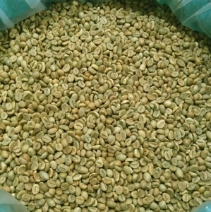 Arabica Starmaya, Granos de Café Verde con Cáscara, Suaves y Húmedos, Especialidad de Son La, Vietnam, 95% Cereza Roja, 24 Meses - Product Image 1