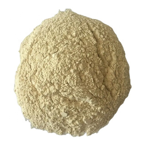Gluten de Trigo Premium al por Mayor, Venta al por Mayor, Grado Alimenticio, Disponible en Stock, Mejor Calidad para Exportación - Product Image 4