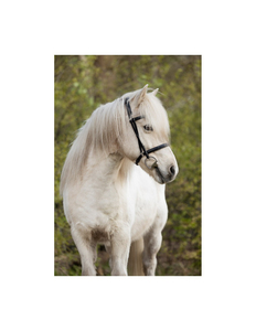 Bridon en cuir naturel tressé à la main avec perles multicolores, réglable, pour équitation, avec frontale droite - Product Image 4