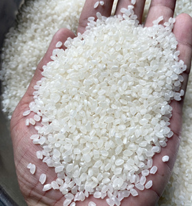 High Quality of Vietnamese Japonica Short <b>Grain</b> 5% Broken Rice 25Kgs For Distributor - VILACONIC RICE MANUFACTURER (Joice) - Product Image 4