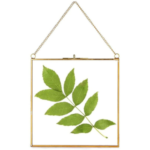 Marco Cuadrado de Latón para Fotos con Hoja Verde Preservada, Decoración de Pared para Hogar u Oficina, Marco Dorado para Fotos, Precio Más Bajo - Product Image 1