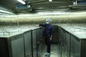 Cristales de L-Mentol Natural de Mentha Arvensis 99%+ Levomentol Grado USP CAS 2216-51-5 Ingrediente de Menta de Alta Pureza para Uso Farmacéutico - Product Image 6