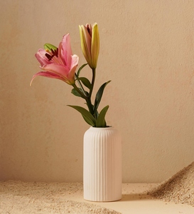 Jarrón de Cerámica Minimalista con Acabado Mate y Diseño Acanalado, Decoración de Mesa, 8-16 Pulgadas de Alto, 4-8 Pulgadas de Ancho - Product Image 5