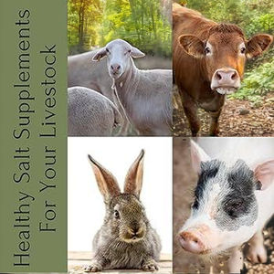 Lèche de sel naturel de l'Himalaya pour animaux de compagnie et bétail Supplément artisanal pour garder chiens porcs chevaux animaux heureux et en bonne santé - Product Image 4