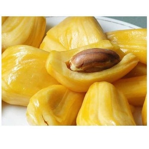 Jacquiero Congelado de Calidad de Exportación, IQF, Listo para Usar, Fruta Tropical - Product Image 2