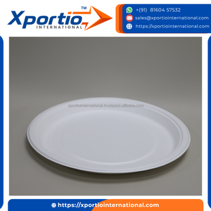 Plato Redondo de Bagazo 100% Compostable, Vajilla Desechable de Caña de Azúcar, Empaque Ecológico para Uso en Catering, Picnics y Fiestas al Aire Libre - Product Image 3