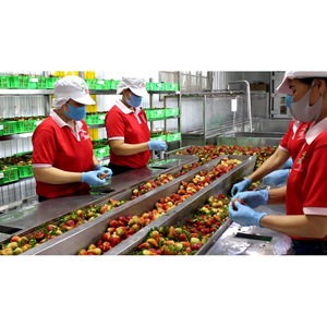 น้ำสตรอว์เบอร์รีกระป๋องอะลูมิเนียม 330 มล. ได้รับการรับรองมาตรฐาน BRC VINUT ขายส่ง รับผลิตแบบ OEM ODM รับผลิตแบรนด์ส่วนตัว - Product Image 1