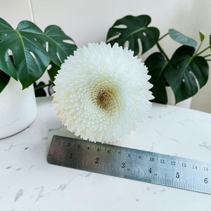VADEE Premium White Snow Chrysanthemum 003 <b>Diffuser</b> Flower Sola Wood Handmade Sustainable Craft Sesbania <b>Reed</b> Seafoam Green - Product Image 4