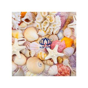 BEST SELLER Sustainable Natural Seashell Handicrafts | High Quality Various Shell Accessories - Product Image 1