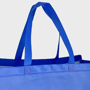 Bolsa Tejida de PP Reutilizable con Impresión a Todo Color, Personalizable, Reciclable, Precio Económico Directo de Fábrica, Vietnam - Product Image 3