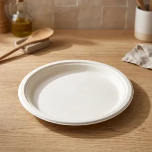 Premium Quality 10 Inch Round Plain <b>Pulp</b> Moulded Disposable Plate Compostable Eco Friendly Food Serving Tableware - Product Image 2