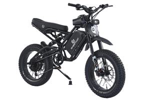 QUALITÉ Originale F4-X B_ikes 750 watts 60v/25ah Livraison rapide - Product Image 2