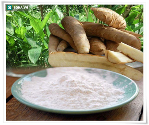 HIGH-PURITY ARROWROOT <b>STARCH</b> POWDER - BEST PRICE ORGANIC VEGAN BAKING INGREDIENT FROM VIETNAM - Product Image 3