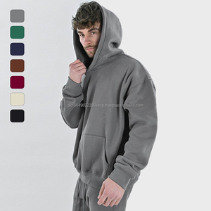 Sweats à capuche personnalisés pour hommes en coton lourd de qualité supérieure, impression gonflée, sweats à capuche surdimensionnés de style streetwear pour hommes - Product Image 1