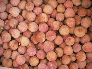 Exportador de lichi congelado/lichi IQF de Vietnam/Sra. Selina - Product Image 5