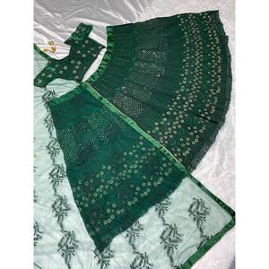 Lehenga Choli de fête pour femmes avec bordure fantaisie - Product Image 2