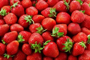 สารสกัดจากเมล็ดสตรอเบอร์รี่ป่าชนิดผง  สารสกัดแบบของเหลว-ของแข็ง ความบริสุทธิ์ 98% เกรดอาหาร รักษาคุณค่ารสชาติและกลิ่นหอมตามธรรมชาติ - Product Image 5