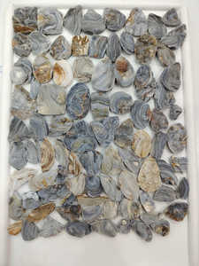 100% Natural Desert druzy Gemstone Desert druzy Cabochons Desert druzy Mix Forma y tamaño Hecho a mano Fabricación de joyas - Product Image 3