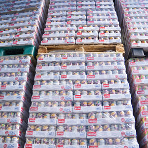 ขายส่งเครื่องดื่มผลไม้สดธรรมชาติ 100% เครื่องดื่มองุ่นเข้มข้นระดับมืออาชีพ น้ำองุ่นแดงแท้ 330 มล. - Product Image 5