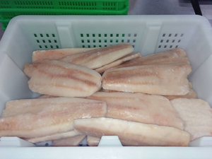 Filets de Merluccius Capensis surgelés, avec peau, sans PBO, sans glaçage, certifiés MSC, qualité export premium, IQF (Merluccius Capensis) 2-4 - Product Image 2