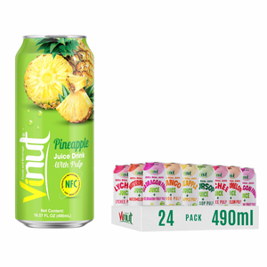 Bebida de Jugo Saborizada con Pulpa 490ml Sin Azúcar, Variedad de Sabores, Fabricante de Bebidas de Marca Privada OEM ODM Vietnam - Product Image 1
