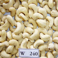 Biologische Gedroogde Geroosterde Cashewnoten Zout Bulk Premium Korrels Snack Vietnam IIGLOBAL FARM Topkwaliteit Voedsel 12-24 Maanden Houdbaarheid