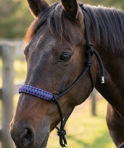 เชือกไนลอนถักหลากสีม่วงดำ HM GLOBAL พร้อมสายรัดคอแบบ Halter ทนทาน คุณภาพสูง ฮาร์ดแวร์เหล็กนิกเกิล  สำหรับม้า - Product Image 3