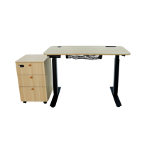 Bureau intelligent OEM d'usine, bureau électrique ODM à 2 moteurs, bureau debout moderne pliable à hauteur réglable automatiquement pour le bureau