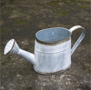 Arrosoir en métal galvanisé gris, arrosoir décoratif en fonte pour jardin, pot de fleurs pour décoration intérieure et extérieure - Product Image 1