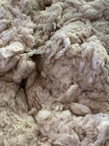 Algodón Linkrein de alta calidad, marca Nithya, cantidad mínima 23 toneladas +/- 10. Contacte a la Sra. Kate +840387097963 - Product Image 2