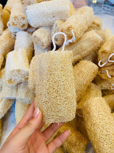 ฟองน้ำใยบวบธรรมชาติแบบขายส่ง ออร์แกนิค สำหรับทำความสะอาดผิวกาย ใช้ขัดตัวในห้องอาบน้ำและฝักบัว - Product Image 3